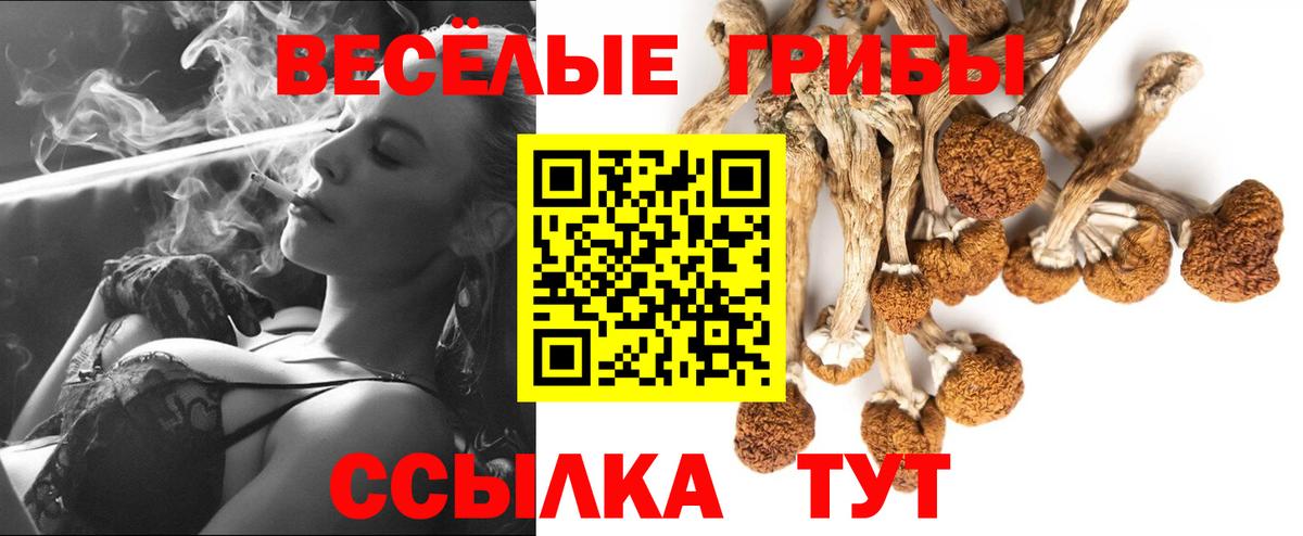 Галлюциногенные грибы GOLDEN TEACHER  Вход с VPN  Хабаровск  даркнет сайт  Псилоцибиновые грибы MAGIC MUSHROOMS 